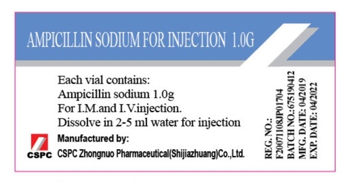 [103809] Ампициллин 1гр №10 Тарилгын уусмал бэлтгэх нунтаг - CSPC Zhongnuo Pharmaceutical /Shijiazhuang/ Co.,Ltd