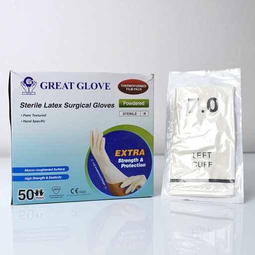 [300809] Мэс заслын бээлий №7.0 - TOP GLOVE SDN BHD